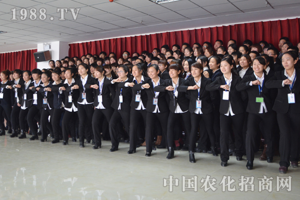 火爆網(wǎng)——一個創(chuàng)造招商奇跡的網(wǎng)絡(luò)群
